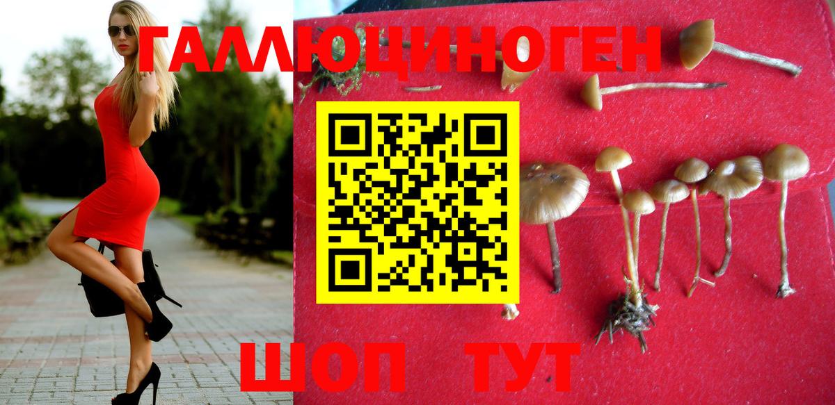 Ханты-Мансийск  Псилоцибиновые грибы GOLDEN TEACHER  Вход с VPN 